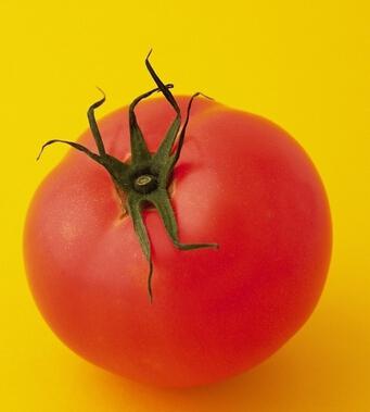 西红柿的10大好处吃出来_好厨网